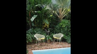 Modern Outdoor // ideas for your garden // Green garden plants