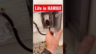 Ocean front house | house maintenance | DIY Hawaii