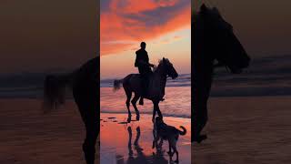 Horse Riding in evening at beach🏇🏻🏄🏻🌆🌬️#nature #horseriding #horse #viralvideo #youtubeshorts #feed