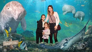 Sea Life Sydney Aquarium [Oceanarium Sea Life w Sydney]