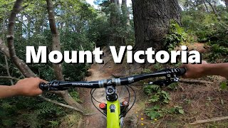 Mount Victoria | Trail Water Tower - Trevor - Shuttlecock