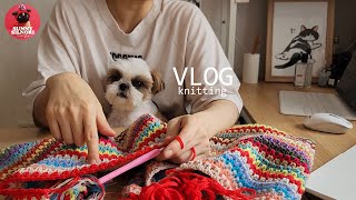 [뜨개하며독서 vlog-12]자투리실로 블랭킷을 뜨지 ㅣ서일페 다녀왔지ㅣ뜨개책  같이보기 MOON AND TURTLEㅣ knitting ㅣ1인1견가구ㅣ뜨개로그 ㅣ일상ㅣ시츄강아지