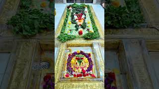 12 . 11 . 2024Om Sai Ram    Tuesday Special Pooja Shirdi  Sai Baba temple