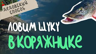 Как ловить щуку в коряжнике  ДЕДОВСКИЙ СПОСОБ!