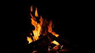 Mesmerizing Bonfire: 4K Free Stock Footage Download