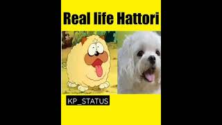 Real Life Characters in Ninja Hattori |Ninja Hattori status||Character in real life| #shorts