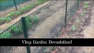 Vlog: Garden Devastation!