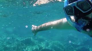 Spiaggia di Cavoli (Isola d'Elba)