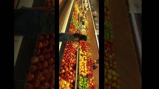 POV: You are my grocery #cinematicvideo  #filmmaking #filmmakers #shortfilm