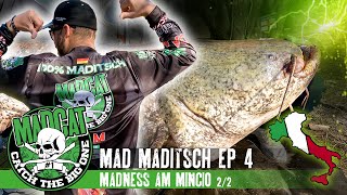 MAD MADITSCH #4 🔥 Madness am Mincio 2/2 🇮🇹  I Welsangeln in Italien I MADCAT