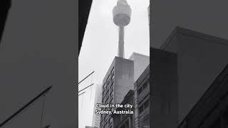 Cloud in the city | Sydney | Australia #australia #sydney #travelvlog #nsw #sky #travel #sydneyview