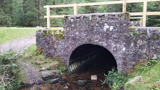 Forest Bathing in Nature; See if You can Guess the Serene Location.