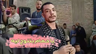 يا حمام بتنوح ليه🦅+سجنوني وخدوا المفتايح ~ مهرجان دشنا 🔥