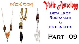 Details of Rudrakshi and its Benifits | In KANNADA | Part - 09