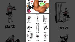 full Biceps home workout plan 💪#workout #shoulder #chest #sixpack #back #legs #triceps