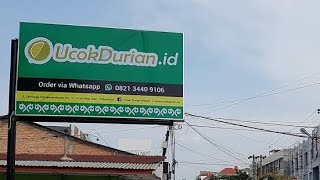 Durian Ucok Medan Cabang Pekanbaru