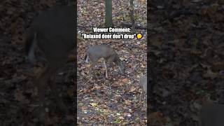 🦌Deer Hunting MYTH! ”Shooting Relaxed Deer” #bowhunting #deerhunting #shorts