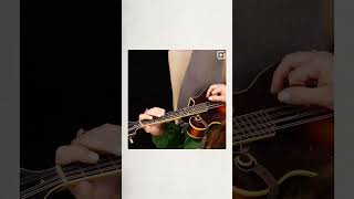 Tips from the Masters: Scales on the Mandolin with Sierra Hull || ArtistWorks