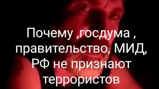 Почему госдума ,правительство, МИД, РФ не признают террористов террористами ?