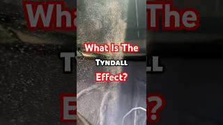 What is The Tyndall Effect? 🤯 #tyndalleffect #interesting