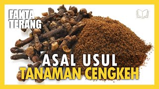 ASAL USUL TANAMAN CENGKEH