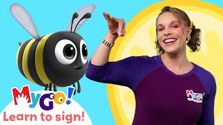 Learn Sign Language with Blippi Wonders! | Flies | MyGo! | ASL for Kids