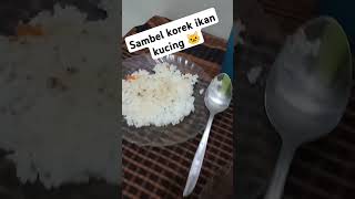 malam malam buat sambel korek ikan kucing