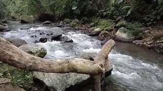 Bali jungle trekking