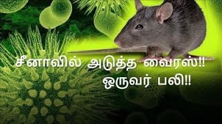 அடுத்த வைரஸ்க்கு தயாராகும் சீனா | coronavirus |covid19 | china |tamilnadu144 |madurai corona