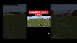 Placing 1 Block Everyday Day #92