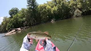 Fly Fishing - Colorado River downstream from 183 bridge