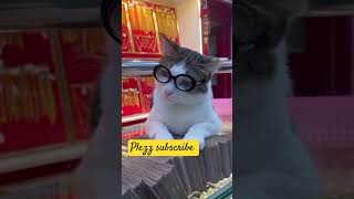 Cat acting #shorts #viral #trending #travel