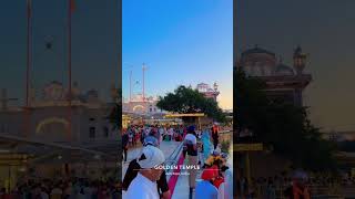 Golden temple Amritsar #shorts #viral #goldentemple