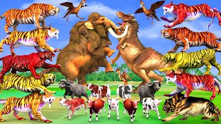 10 Giant Tiger Vs 10 Giant Buffalo Cow Fight Mini Cow Saved By Woolly Mammoth Elephant Vs Dinosaur