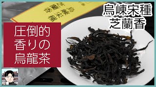 お茶のイメージが変わる！鳳凰単叢の上級グレード・烏崠宋種芝蘭香