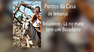 Boiadeiro - Ê lá no mato