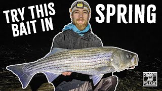 SLOT Striped Bass in Windy COLD Long Island Back Bays Surf Fishing - SWIMBAITS + Plugs