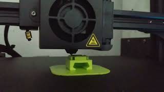 3D printing time lapse