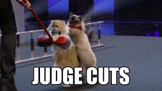 The Savitsky Cats America's Got Talent 2018 Judge Cuts｜GTF