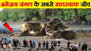 Duniya ka sabse Khubsurat saamp || beautiful snake in the world