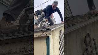 How to demolish an old shed like a pro