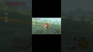 One of Those Days in Zelda: Breath of the Wild