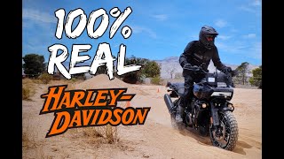 The Harley Davidson Pan America at RawHyde Adventure's Zakar site