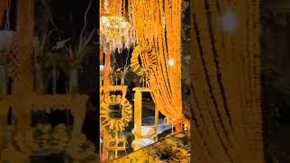 Wedding decorations ideas #shortsvideo2023