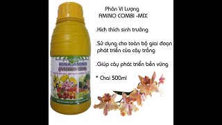 Phân Vi Lượng Amino Mix Chelate, Tổng Hợp Điều Hòa Sinh Trưởng Chai 500ml 0967 863 963