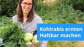 Kohlrabis ernten und dörren - Haltbar machen für den Winter #selbstversorger #wintervorrat #garten