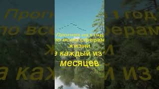 Ваш персональный прогноз на год вперёд по всем сферам жизни