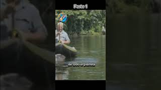 Resumen de moutros de río en Nicaragua parte 1