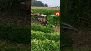 🌱#farming #satisfying #agriculture #gardening #youtubeshorts 😱👍