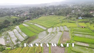 Puncak Desa Pancawati!! Gotong Royong Warga ~Jemput Air Songsong Asa (JASA)